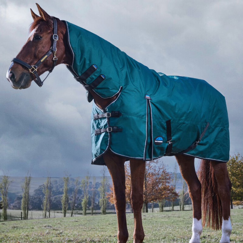 Weatherbeeta Comfitec Classic Turnout Combo 360g Rug in Forest Green/Black-3